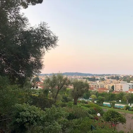 Studio Neuf Dans Avec Piscine Appartement
