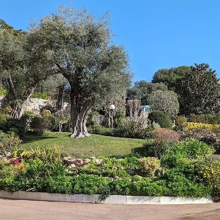 Apartment Studio Neuf Dans Avec Piscine Antibes